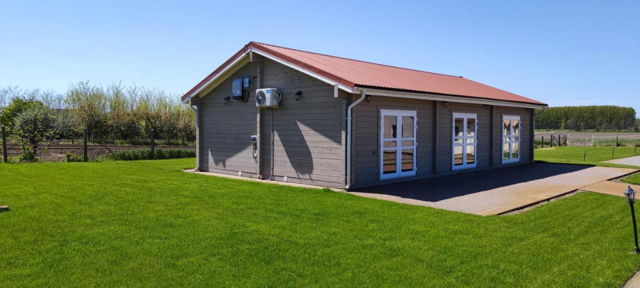 Village Garden Family Guest House Tiszakanyár Екстериор снимка